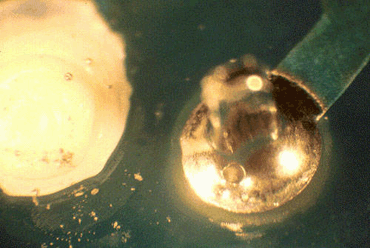 Figure 2: Pin Hole Figure 2: Pin Hole