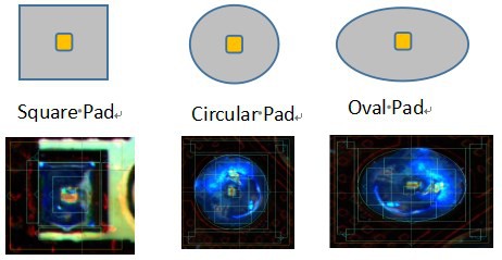 aoi1.JPG